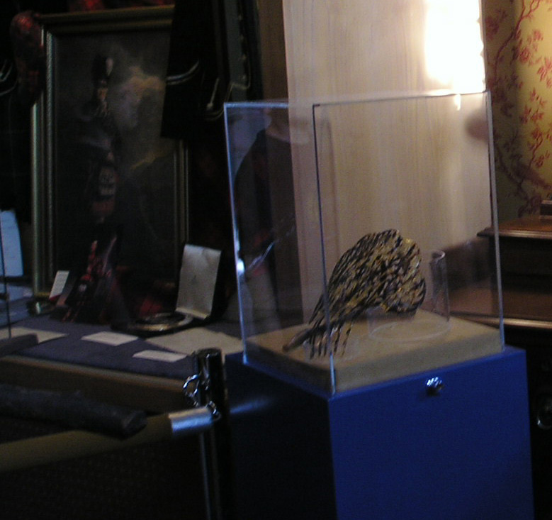 closeup on multiple images