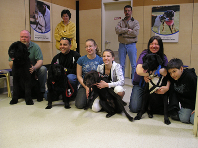 Moose, Cloe, Brooklyn & Jassper (Bruiser couldn't make it...)