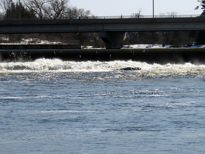 Madawaska River and weir and bridge