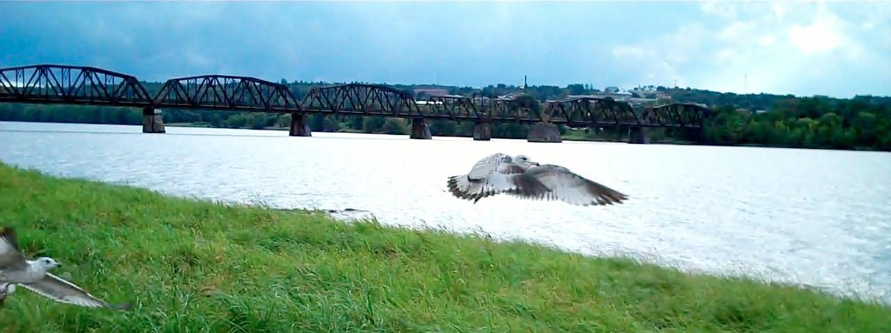 Photography & Video
